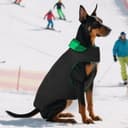 Thumbnail 5 de ASENKU Cappotto per cane impermeabile reversibile 2XL 🐕