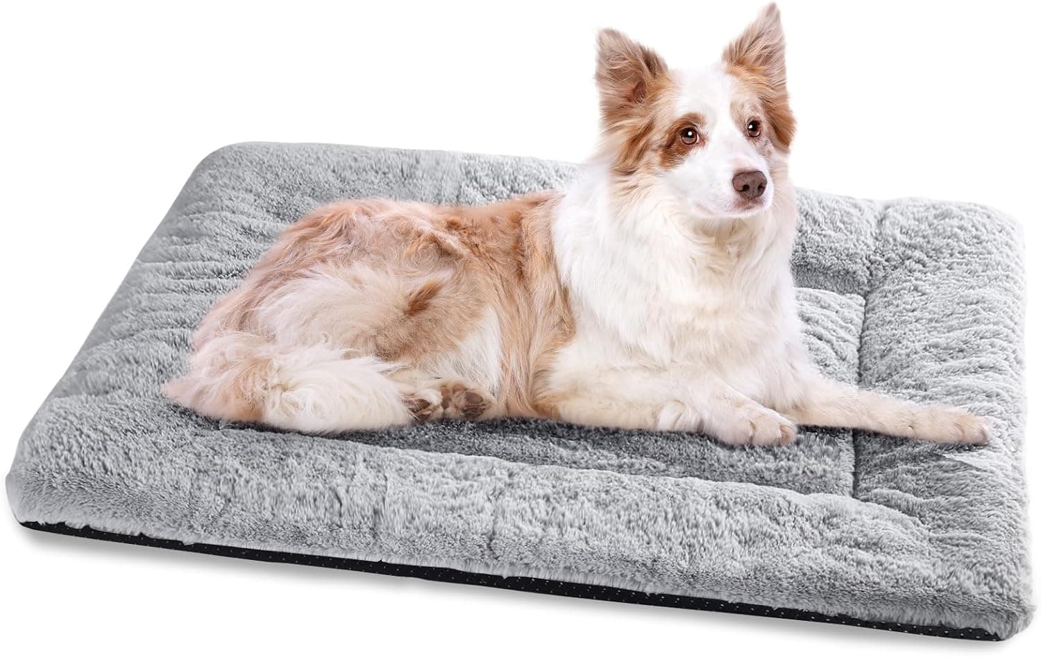 BaoDan Cuccia per cane taglia grande 106x71 cm 🐶