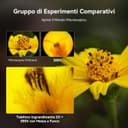 Thumbnail 4 de Evil Eye 300X microscopio per smartphone 300x 🔬