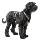 Thumbnail 2 de Ferplast Brave Large pettorina per cane taglia grande, 6 chiusure 🐕