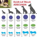 Thumbnail 3 de Ferplast CHEWA BOING osso per cane grande, resistente e galleggiante 🐶