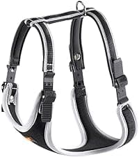 Ferplast ERGOCOMFORT Pettorina per cane Extra Large 🐕