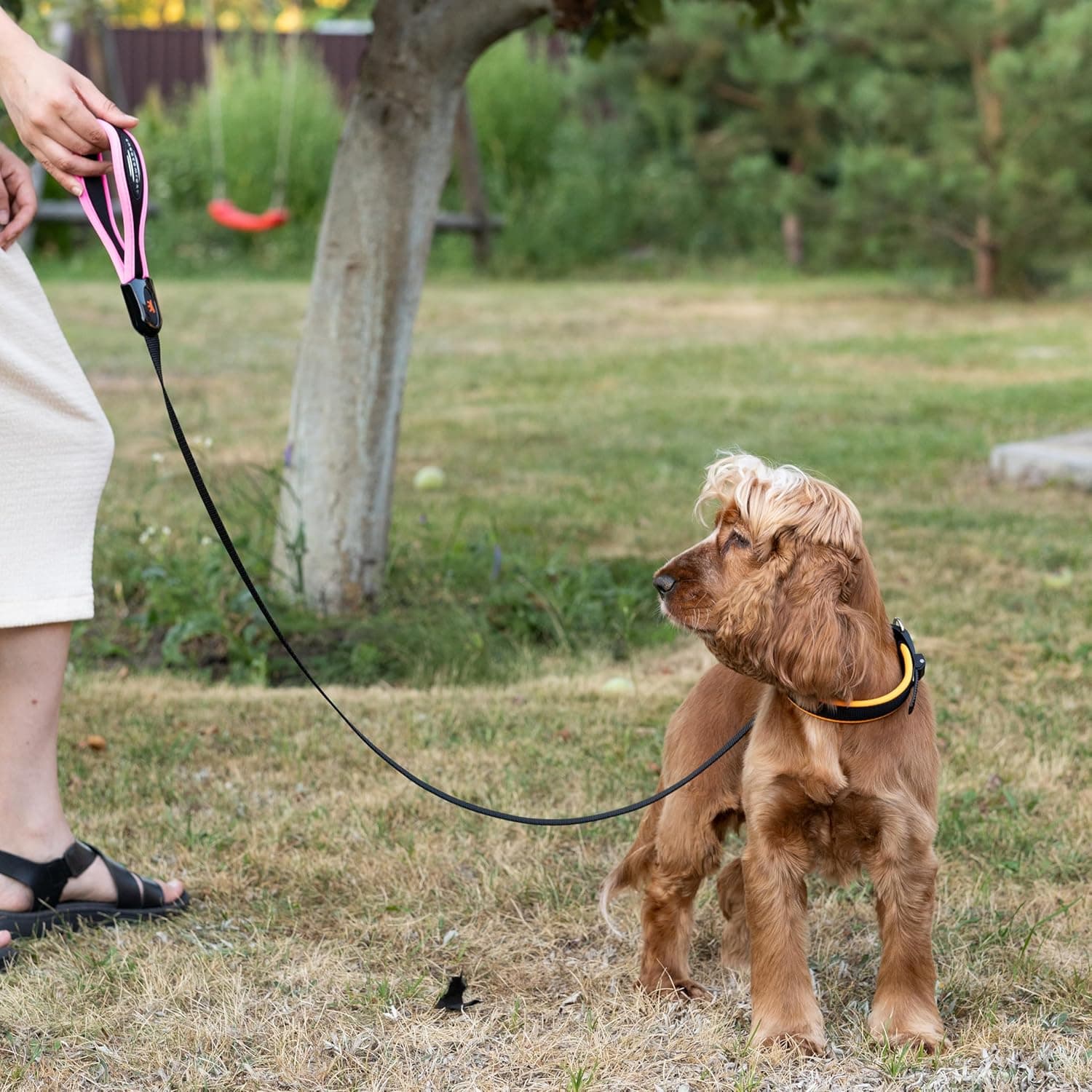 Ferplast ERGOFLUO C15/42 collare ergonomico per cani 🎽