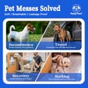 Thumbnail 6 de Flying Paws Pannolini per cani L 26 pezzi assorbenti 🐶