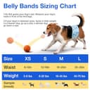 Thumbnail 5 de Flying Paws Pannolini per cani M, 52 pezzi 🐶