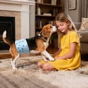 Thumbnail 8 de Flying Paws Pannolini per cani M, 52 pezzi 🐶