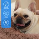 Thumbnail 2 de Kfnire Cuccia Rotonda per Cani e Gatti Ø70 cm 🐶