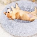 Thumbnail 7 de Kfnire Cuccia Rotonda per Cani e Gatti Ø70 cm 🐶