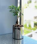 Thumbnail 1 de KOTARBAU Vaso cilindrico in ceramica 230 mm per piante 🌿