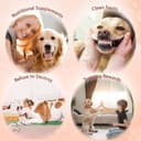 Thumbnail 4 de Nobleza L12.5 cm Bastoncini masticabili per cani 720 g 🐶