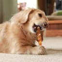 Thumbnail 6 de Nobleza L12.5 cm Bastoncini masticabili per cani 720 g 🐶