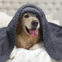 Thumbnail 4 de Nobleza Morbida Coperta in pile per cani e gatti 120×100 cm 🐶