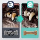 Thumbnail 2 de Nobleza Osso pressato per cani 18 pezzi 7,6 cm 🐶