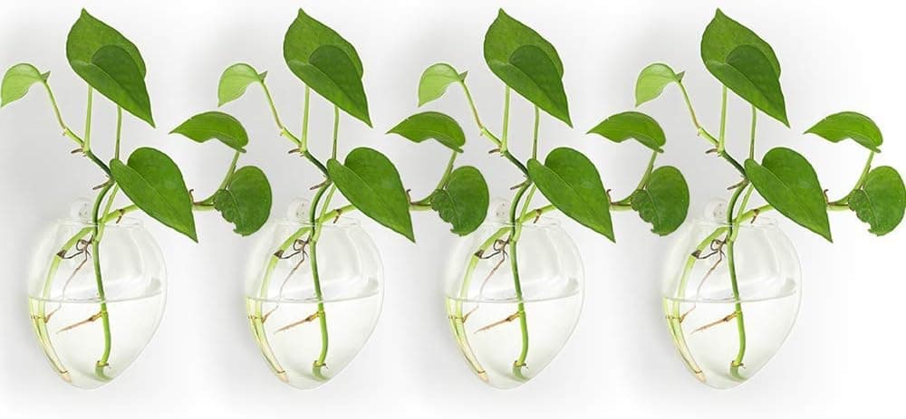 NUPTIO Vasi da Parete per Piante sospese Set da 4 🪴