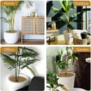 Thumbnail 6 de OFFCUP Tappetino in fibra di cocco 30 cm, set 4 pezzi 🌿