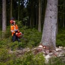 Thumbnail 5 de Oregon Cuneo professionale per abbattimento 19 cm 🪓