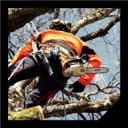 Thumbnail 4 de Oregon SpeedCut Nano catena 26 maglie passo .325" calibro 1,1 mm ⛏️