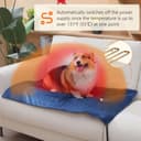 Thumbnail 4 de Pecute Tappetino Riscaldante per Cani e Gatti 70×40 cm 🐶