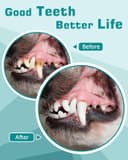 Thumbnail 5 de Petbank Kit Pulizia Denti Cane 14-in-1 spazzolino ultrasuoni per cani 🐶