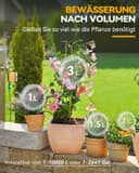 Thumbnail 5 de RAINPOINT Centralina Irrigazione WiFi 2.4 GHz per giardino 🌱