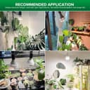 Thumbnail 5 de SANSI 36W Lampadina LED per piante indoor E27 🌱