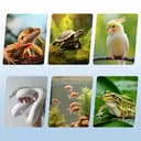 Thumbnail 7 de testyu Lampada riscaldante per tartarughe 25W+50W 🐢