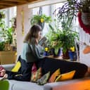 Thumbnail 3 de Trappole per mosche 60 pezzi (40 cattura, 20 acchiappa) 🪰