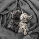 Thumbnail 3 de Utopia Bedding Coperta Pile 150x200 cm — 300 GSM, grigio 🛏️