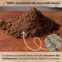 Thumbnail 1 de VANESENCIA Vaniglia Bourbon in polvere 20 g 🍫