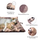 Thumbnail 1 de XIAPIA Cuccia per cane impermeabile pieghevole con cuscino 🐶