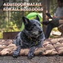 Thumbnail 3 de XIAPIA Cuccia per cane impermeabile pieghevole con cuscino 🐶