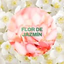 Thumbnail 5 de Air Wick Active Fresh Spray Automático - Pack 3 Jazmín 🌸