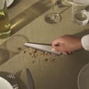 Thumbnail 1 de Alessi Krümelsammler Pala Recogemigas Acero Inoxidable 🧹