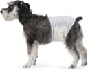 Thumbnail principal de Amazon Basics Pañales Desechables para Perros Macho M 🐶, paquete de 50