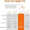 Thumbnail 3 de Amazon Basics Pañales Desechables para Perros Macho M 🐶, paquete de 50