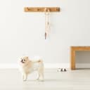 Thumbnail 6 de Amazon Basics Pañales para perros macho XS 30 unidades 🐶