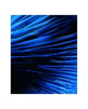 Thumbnail 1 de Biotherm Homme Force Supreme Black Mask mascarilla 50 ml