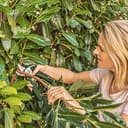 Thumbnail 2 de Bosch EasyPrune cuchilla de recambio ✂️