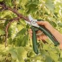 Thumbnail 3 de Bosch EasyPrune cuchilla de recambio ✂️