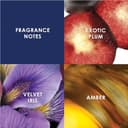 Thumbnail principal de Britney Spears Midnight Fantasy 100 ml — Eau de Parfum 🌸