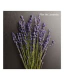 Thumbnail 5 de Calvin Klein Eternity Aromatic Essence perfume 100 ml