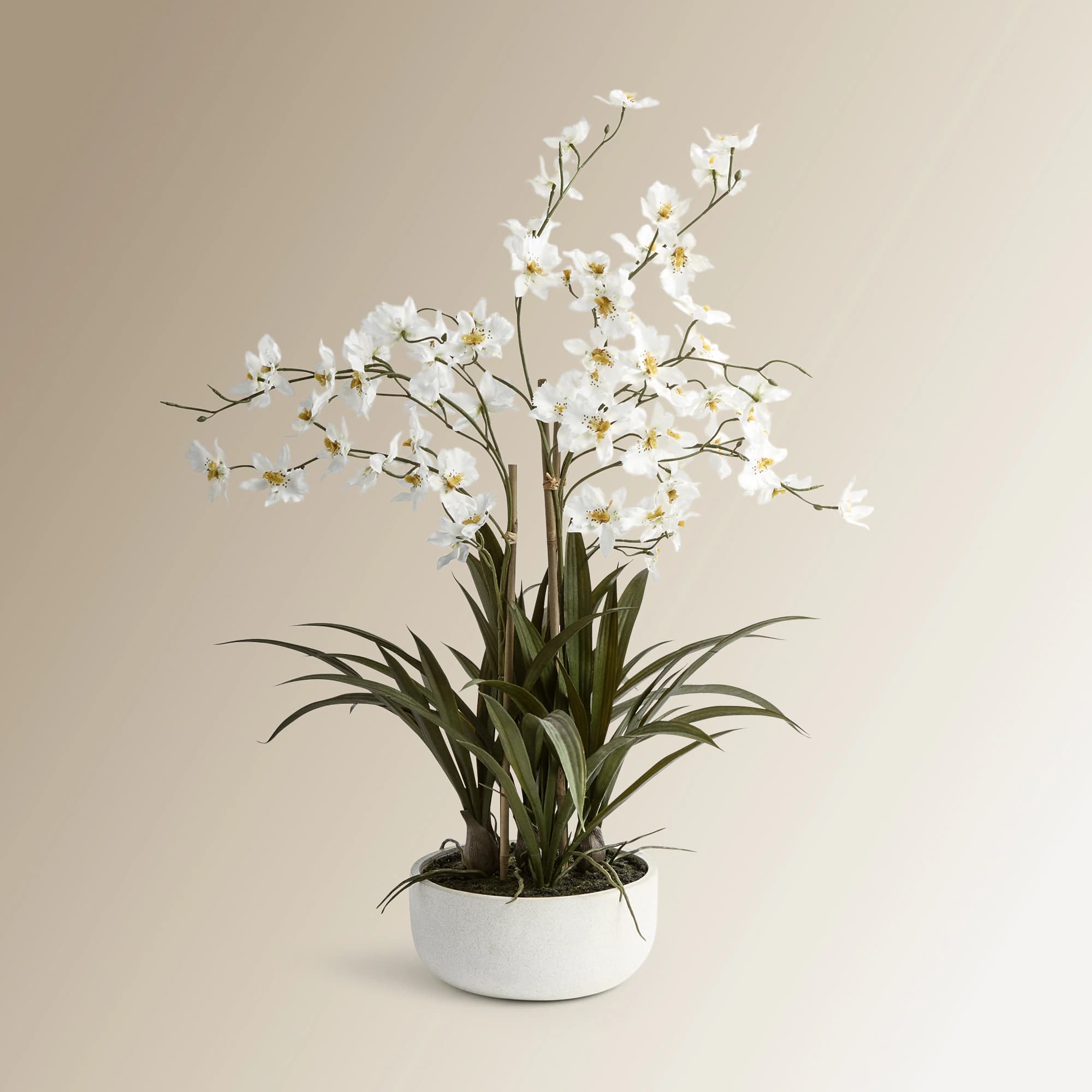 El Corte Inglés Planta artificial Orquídea con base natural 🪴