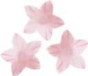 Thumbnail principal de dekora 400 Mini Flores comestibles para tartas, 2 cm
