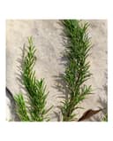 Thumbnail 3 de Dolce & Gabbana Light Blue Pour Homme, estuche de regalo