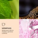 Thumbnail 3 de DUOS® Tazas de Café, Vaso doble pared ☕