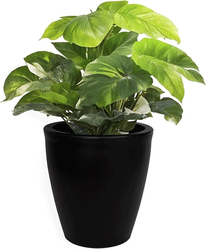 Elly Décor Maceta de Plástico de 17" con Drenaje 🌱