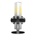 Thumbnail 1 de Endgame Gear XSTRM Micrófono USB RGB con Cancelación de Ruido 🎙️