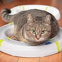 Thumbnail 3 de Ferplast Typhon circuito modular con bola LED para gatos 🐱