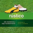 Thumbnail 2 de Flower - Semillas de Césped Rústico 🌱, Ideal para Jardines y Campos