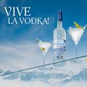 Thumbnail 1 de Grey Goose Vodka Prémium Francés 700 ml 🍸